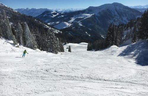 Landhaus Renata Bayrischzell - Foto 42