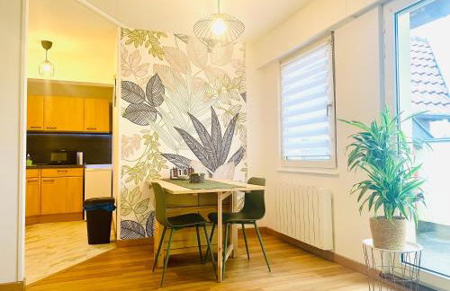 L'escale aux 3 frontières, parking, wifi, balcon - Foto 24