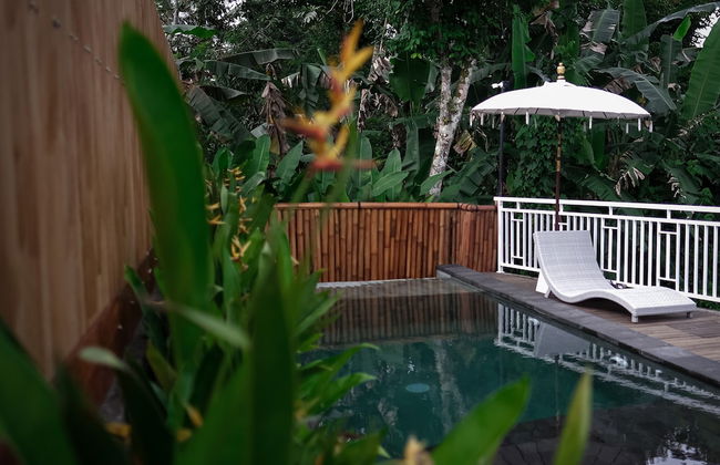 Triyana Resort and Glamping - Foto 33