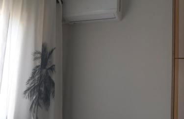 Fox's Sunshine - Foto 25