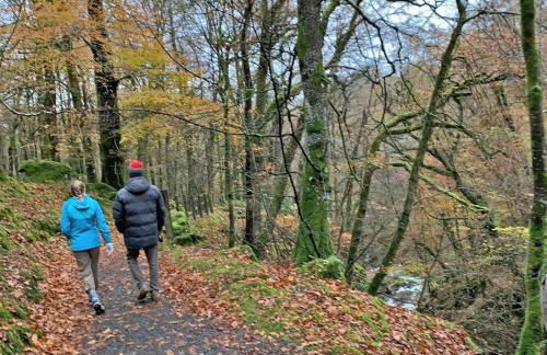 Charming cottage in Snowdonia - Foto 61