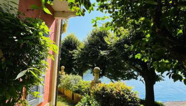 Appartamento Belvedere - Photo 2, Garden view