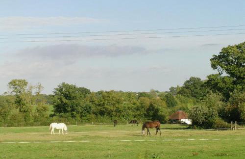 Stag Lodge - Photo 21