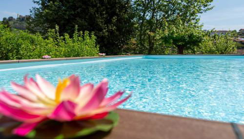 Casale Belvedere "L'Ulivo" e "La Terrazza" - Foto 5