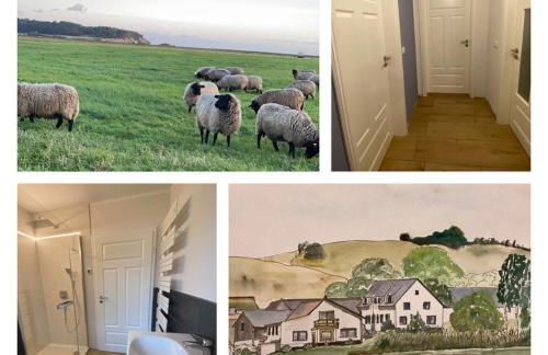 Ferienwohnung Groß Zicker - Foto 16