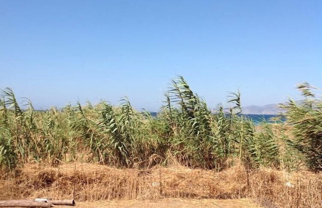 Kastraki Dream near the beach - Foto 57