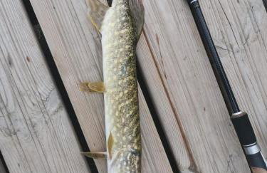 Domki na wodzie Warmińskie Pompeje - Foto 25