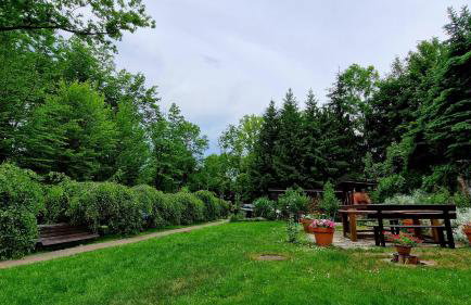 Domek w parku - Foto 16