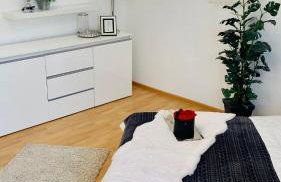 VILLA SUNSHINE "SUNSHINE SUITE" NAD JEZIOREM KOMINEK i WANNA w SALONIE OGRóD BALKON - Foto 7