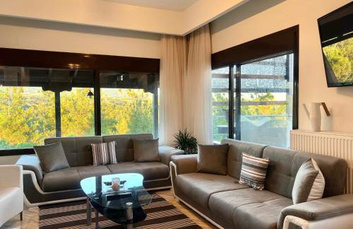 Villa Kastro Elassona - Foto 11