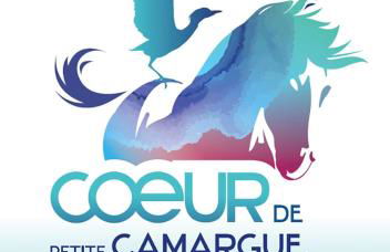 Gîte de vacances en Camargue ☆☆NN - Photo 28