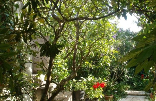 Seaside Holiday Home Andrija - Photo 28