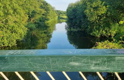 Nature & Local Transport - Foto 14