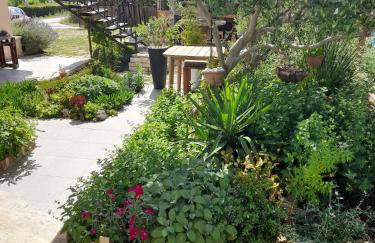 Studio apartman T and T - Photo 9