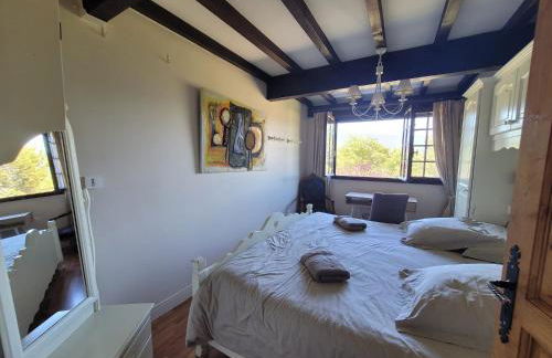 Beautiful Lake Annecy Villa - Foto 50