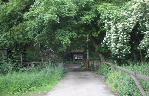 Casas Rurales TAReira en Taramundi - Foto 80