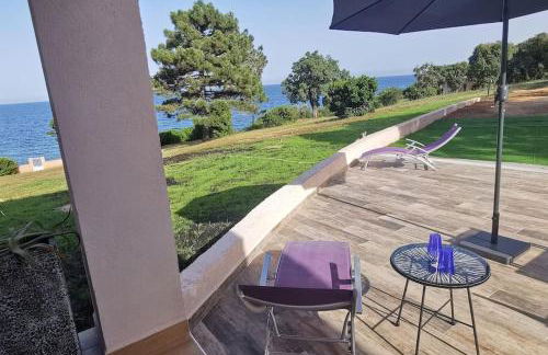 Pieds dans l'eau - La Villa Crique aux tortues - Foto 50