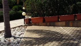 Hibiscus Rosso - Foto 5