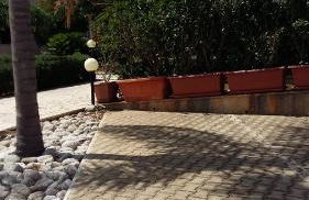 Hibiscus Rosso - Foto 5