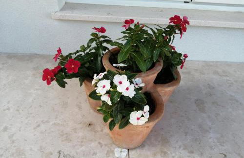 Apartment Belici - Foto 40