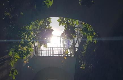 Al Poggio Antico - Foto 34