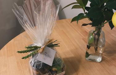 Amodiño do Camiño - Foto 50