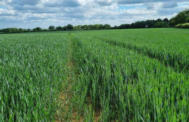 Sunset Gable - Foto 9