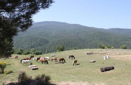 Sweet Dreams Elegance Spa, Colazione & Relax - Foto 39