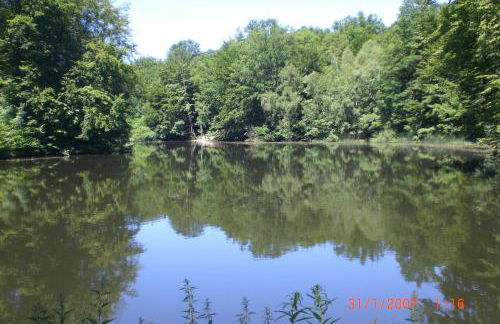 Ferienhaus am Geiersberg - Foto 39
