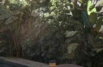 Soulhouse Marbella, exclusiva villa galardonada - Foto 42