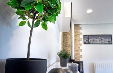 Night Day extra - Foto 18