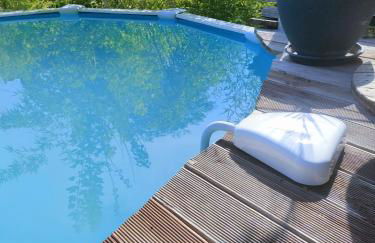 La Cabane des Trappeurs - Foto 2