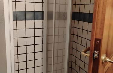 Il Gallo d' Oro - Pulcino - Foto 20