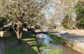 Holly Cottage, Hidden gem in the Yorkshire wolds - Foto 44