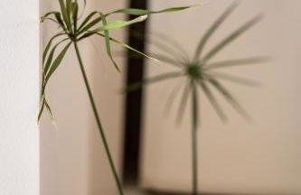 Casa Piccadilly - Foto 57