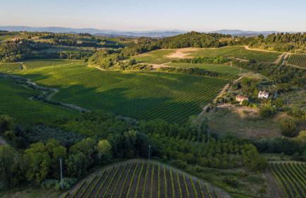 Villa Chianti, your Secret 4 Bedrooms Retreat with View over the Vineyards in Marcialla - Foto 126