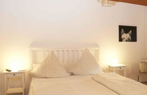 Fewo Wrede am Sauerland-Radring - Photo 9