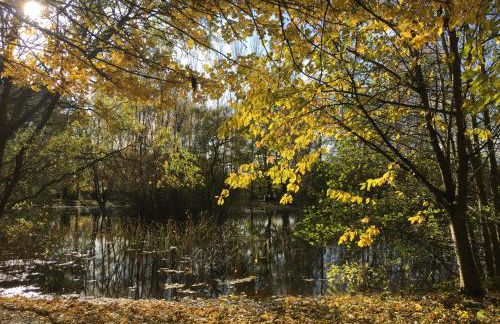 Rose cottage - Photo 11