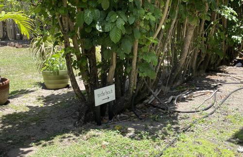 Hale Haena 3 Bedroom Home by RedAwning - Foto 34