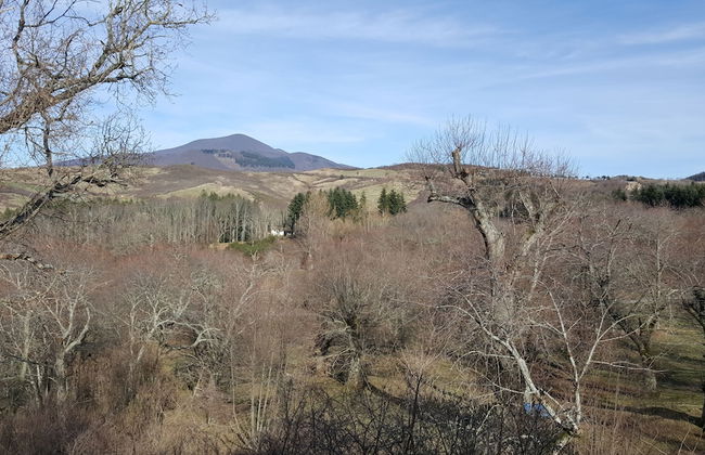 Agriturismo Bio I Rondinelli - Foto 24