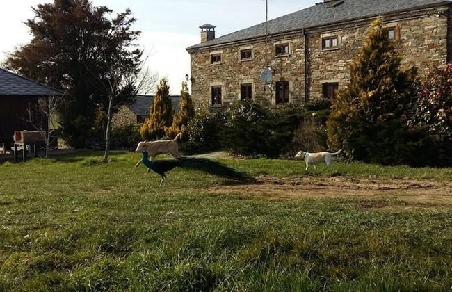 Casa Rural O Ventorrillo - Foto 60