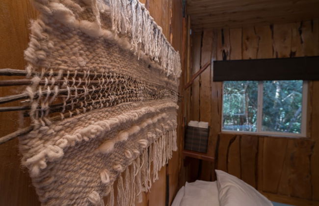 Cabañas Ensenada Bosque Nativo - Foto 13