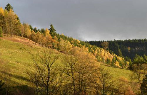 Ferienwohnung Pusteblume - Foto 16