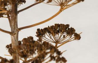 Trullo Natù - private villa - Foto 22