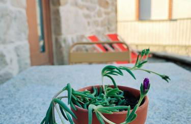 Casa dos Côtos. - Foto 39