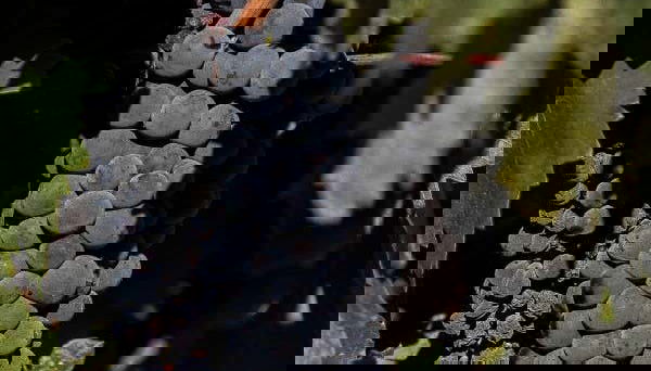 Tour in Fuensaldaña - Foto 4