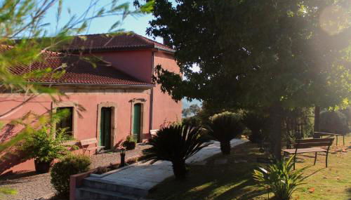 Quinta de Baixo - Photo 4, Garden