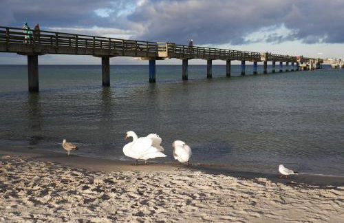 Ferienhaus Blomengoorn - Foto 48