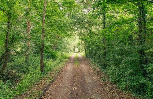 Idyllic Countryside Cottage in Worcestershire - Foto 78