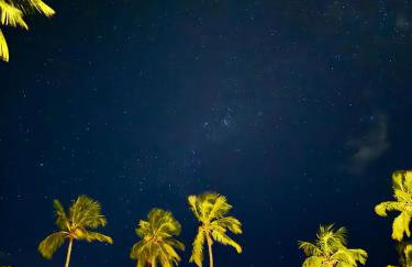 Casa Salga Patacho F003 - Rota Ecológica de São Miguel dos Milagres - Foto 12